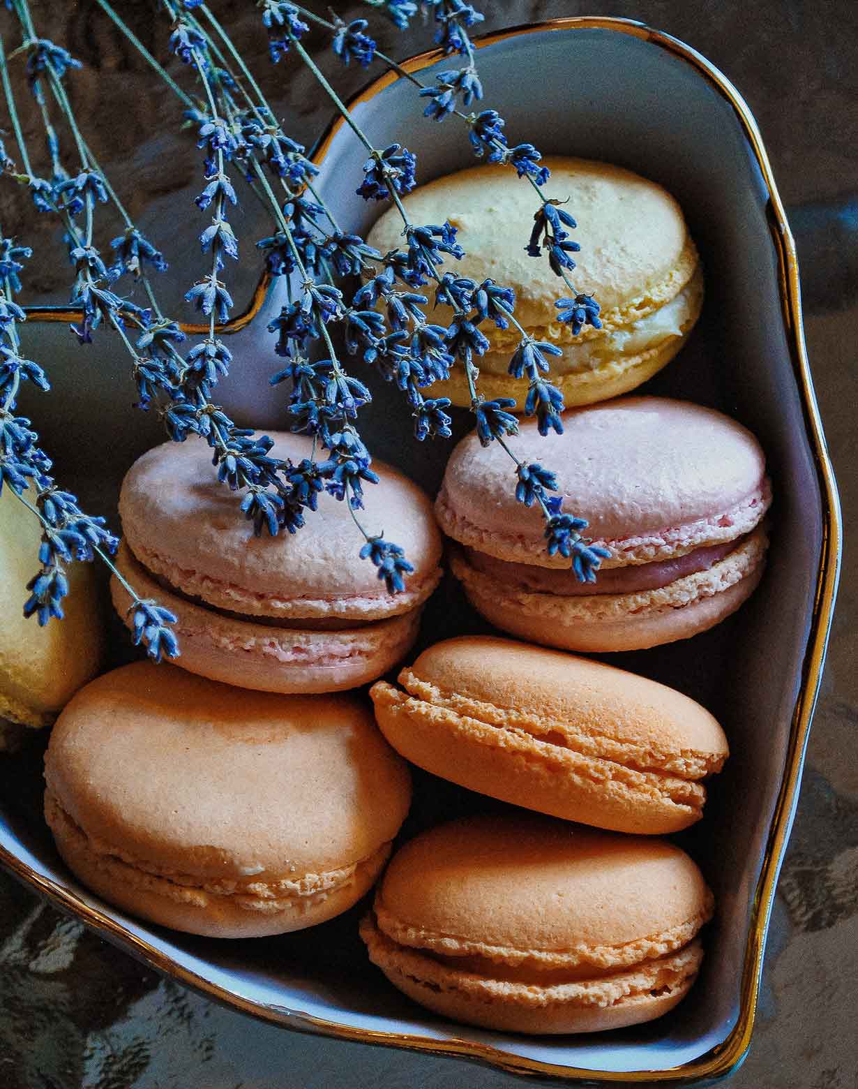 Macaroons bakery-sample-4